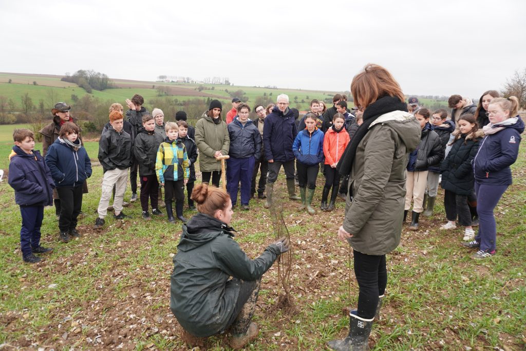 plantations haies groupe